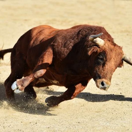 dwa-kolory-jako-znak-towarowy-poznajcie-red-bulla