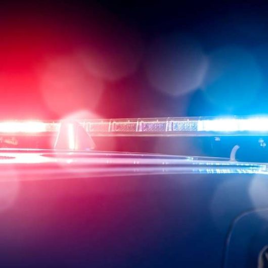 policja-pilnuje-znakow-towarowych-600