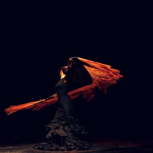 spor-o-liczbe-16-w-znaku-towarowym-600