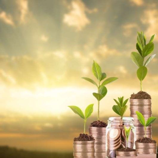 wymiar-swobody-tworczej-w-ramach-tworzenia-wzoru-przemyslowego-600