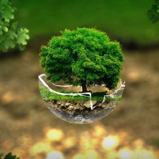 znak-towarowy-greta-thunberg-600